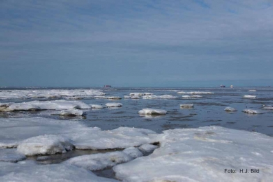 Fotos vom  eisigem Wattenmeer_1