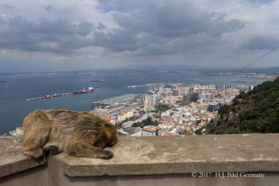 Fotomotive von Gibralter_10