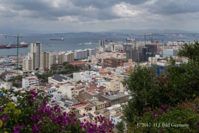 Fotomotive von Gibralter_13