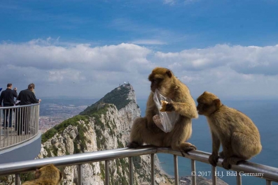 Fotomotive von Gibralter_7