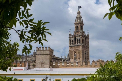 Fotomotive von Sevilla (Andalusien)_7