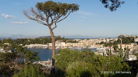 Ischia Porto_7