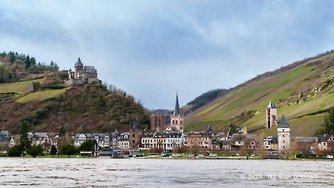 Rheinkreuzfahrt Retour von Ludwigshafen nach Duesseldorf_9