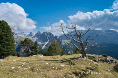 Wanderung auf der Stevia_11