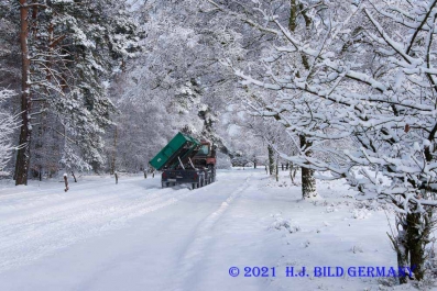 Lüneburger Heide Winterfotos
